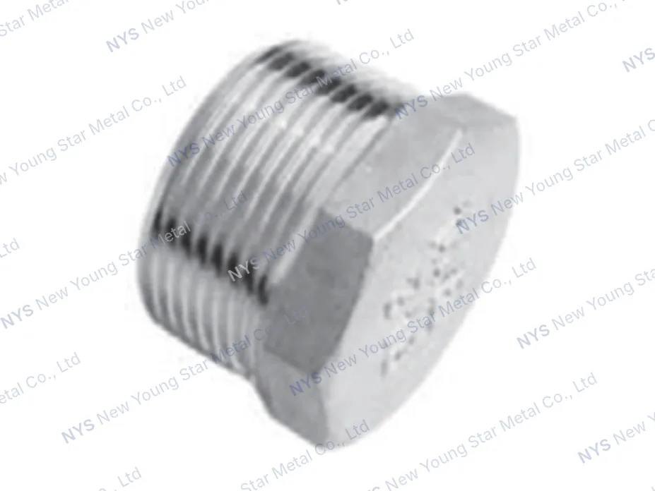 Pipe Caps