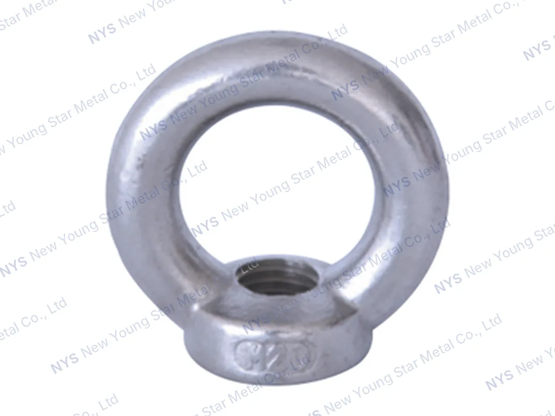 Eye Bolt DIN582