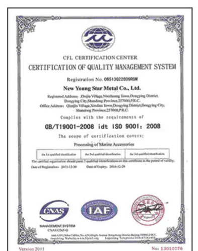Quality management system certificate (ISO 9001), New Young Star Metal